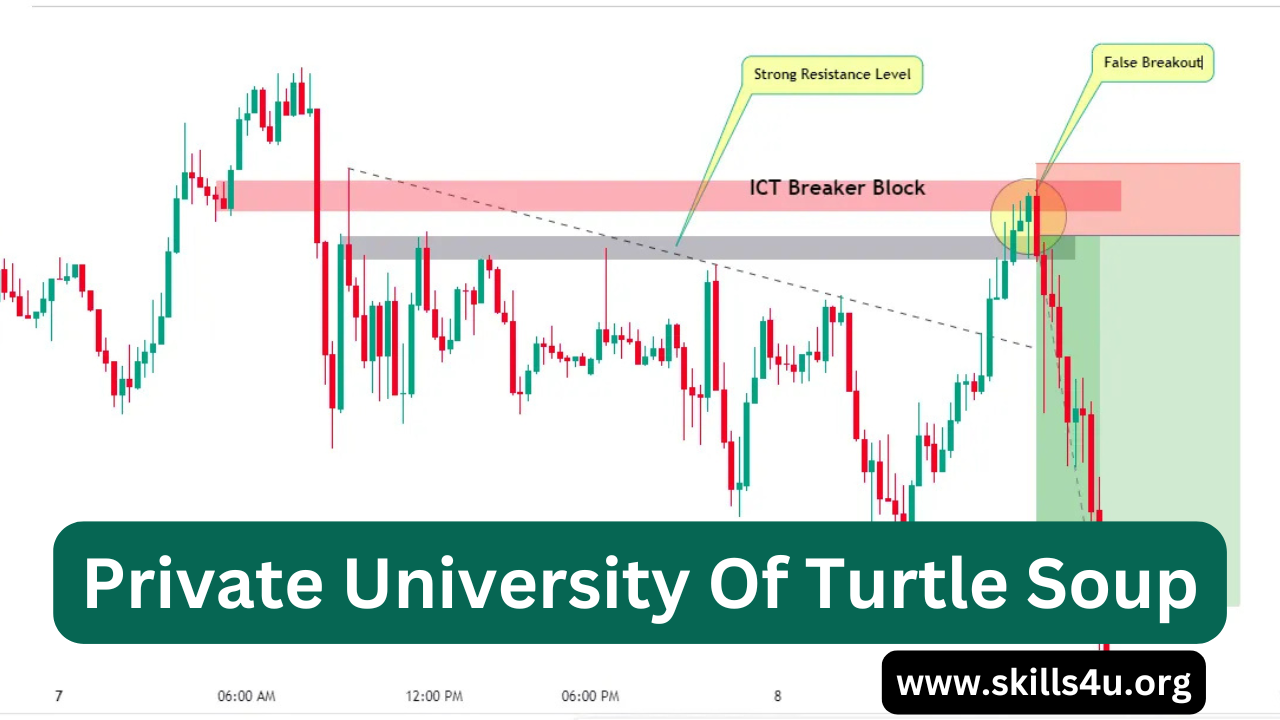 Private University Of Turtle Soup